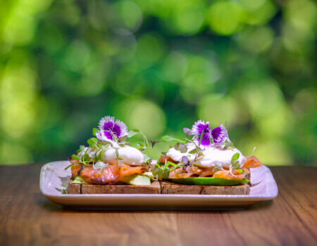 wta_625_Botanika_Tierra_Avodcado-Salmon-Toast_6720x4480