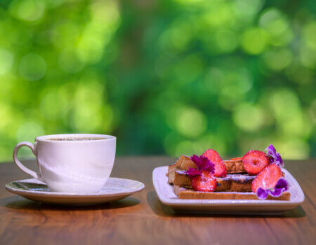 wta_625_Botanika_Tierra_Breakfast-Toast_6720x4480
