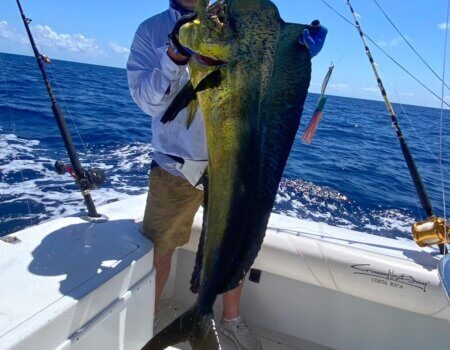 wta_625_IMG5932875642198941543