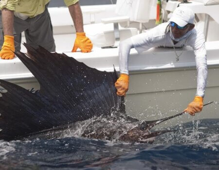 wta_625_L00JK9_182_Fishing(3)