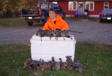 wta_627_9APVOD_upland_04-822-800-600-80-rd-255-255-255