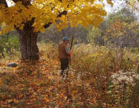 wta_627_F3DTE4_BirdHunting013