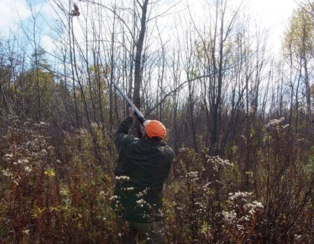 wta_627_PY1RXU_BirdHunting006(1)