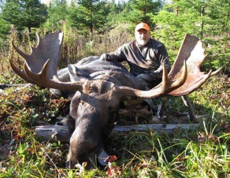 wta_639_BV9108_moose1926-885-800-600-80-rd-255-255-255