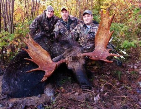 wta_639_CLJ27G_20130928_065552-1103-800-600-80-rd-255-255-255