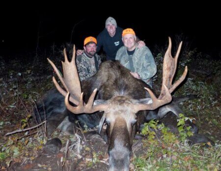 wta_639_P0OBOQ_L1020183crop-1240-800-600-80-rd-255-255-255