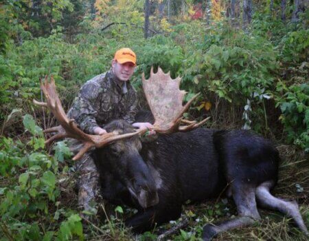 wta_639_W5LM3O_Son_s_Moose-1199-640-480-80-rd-255-255-255