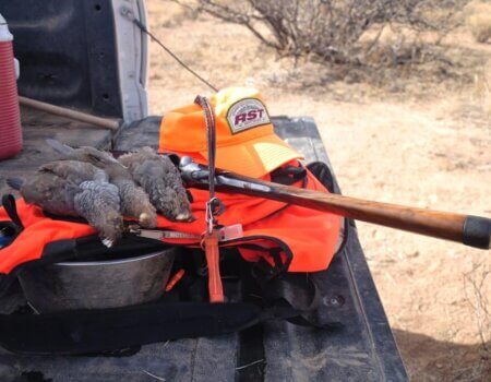 wta_641_2UODOI_DSC_0172-1024x680