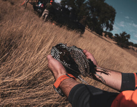 wta_641_DSC08684 (2)