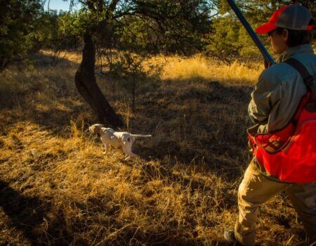 wta_641_SIW2S2_AZBird-8735-1024x681