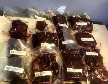 wta_643_8GLCP5_CopyofIMG953975(2)