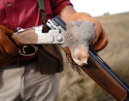 wta_644_0XI8TG_o-uhun