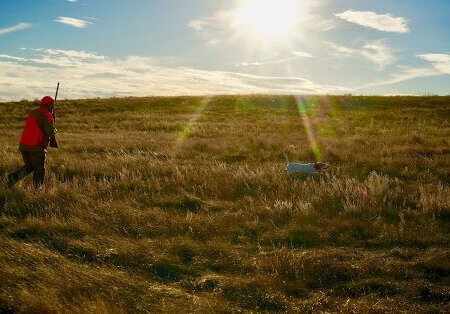 wta_644_68EW1R_point-sun