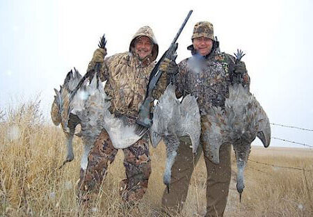 wta_644_BCBRBR_cranes