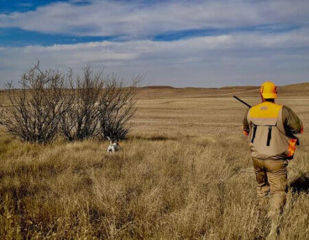 wta_644_I7NNXJ_Onpoint