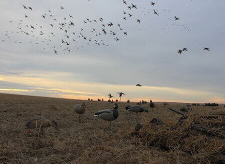 wta_644_KVYQ3F_cominin