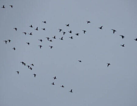 wta_644_N5G6MY_davebrown4