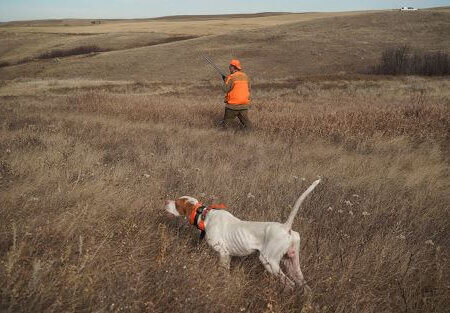 wta_644_QXHN76_infield