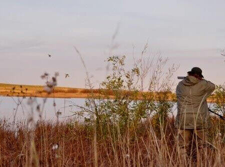 wta_644_SLJER4_davebrown2