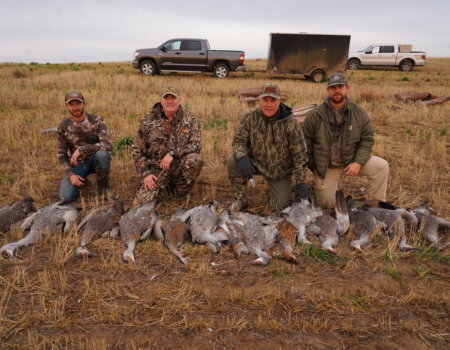 wta_644_Saskatchewan Crane