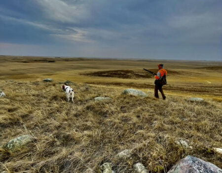 wta_644_Saskatchewan Dog