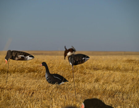 wta_644_Saskatchewan Field