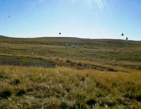 wta_644_Saskatchewan Grassland