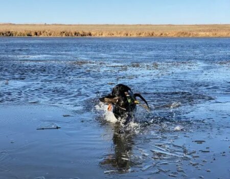 wta_644_Saskatchewan Hunting