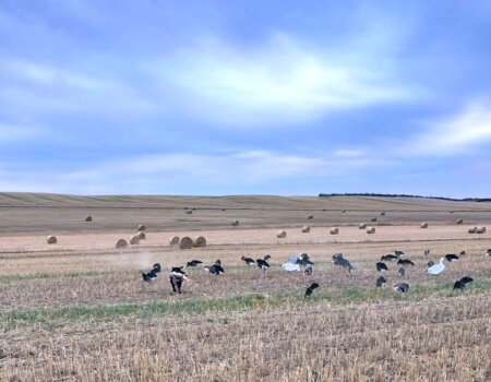 wta_644_Saskatchewan Retrieve
