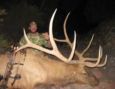 wta_648_8OE6B0_142_Elk(8)