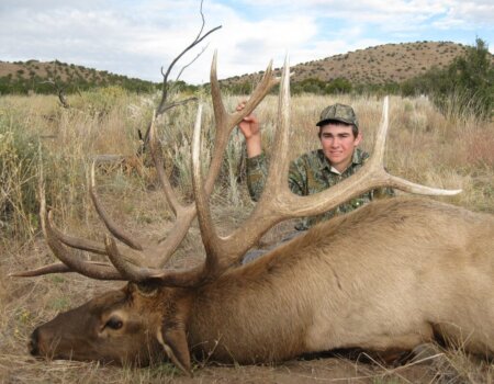 wta_648_A3G51Z_142_Elk(10)