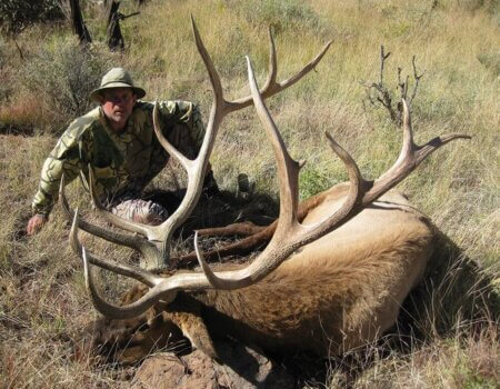 wta_648_I8YD22_142_Elk(13)