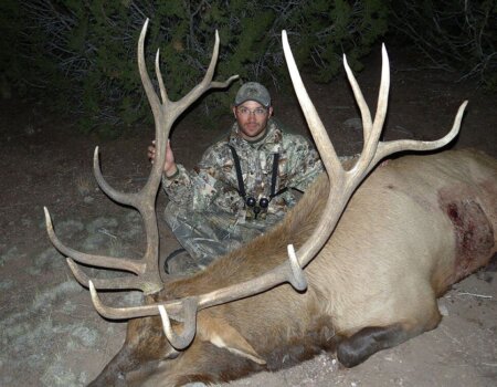 wta_648_ISKY0A_142_Elk(21)