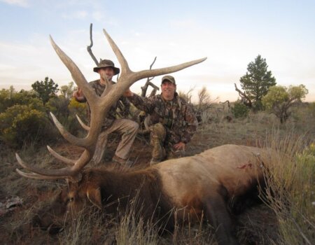 wta_648_KQU7GC_142_Elk(18)