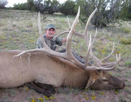 wta_648_NXGJA6_142_Elk(17)