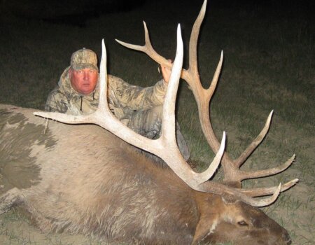 wta_648_PIVCZX_142_Elk(5)