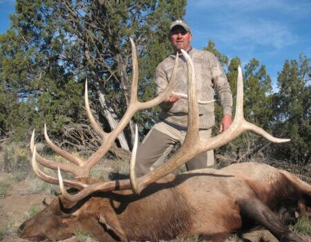 wta_648_QTFYVQ_142_Elk(15)