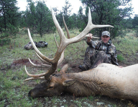 wta_648_W59L2Q_142_Elk(3)