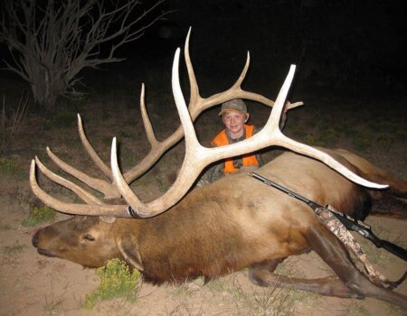 wta_648_XXC75A_142_Elk(7)