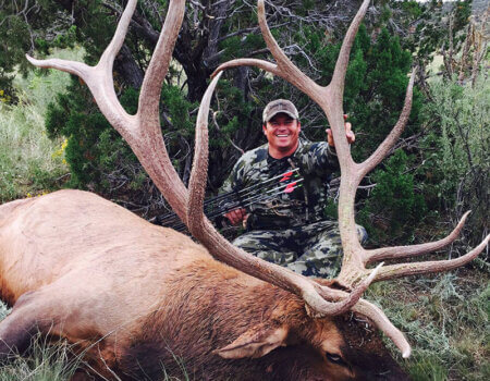 wta_651_1ZEZLI_142_elk15-2