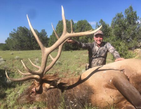 wta_651_Black Mountain Elk