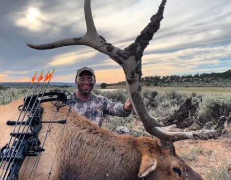 wta_651_Black Mountain Elk1