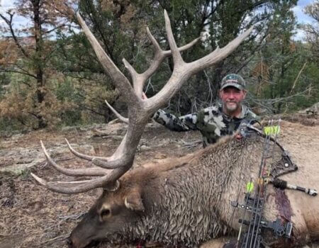 wta_651_Black Mountain Elk3