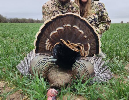 wta_653_20240418_085239(0)