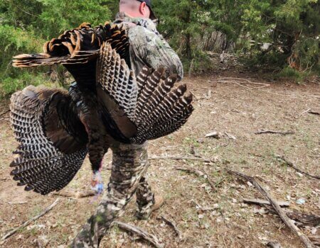 wta_653_20240427_163128