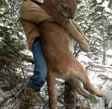 wta_676_0RJE87_DaleEstvold