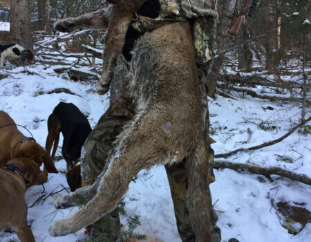 wta_676_24ICKX_210_MTNLion(3)