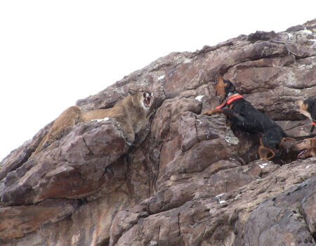 wta_676_2ZVMDA_IMG_3036