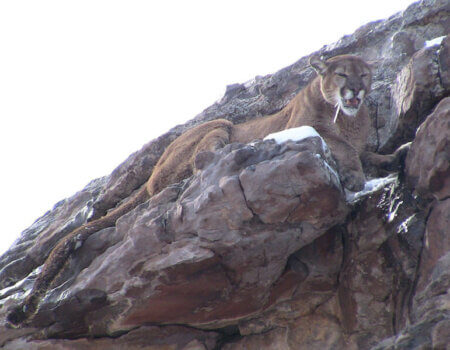 wta_676_7THX33_IMG_3005