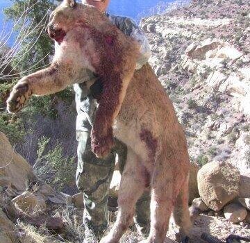 wta_676_8ND9BF_IMG_1598